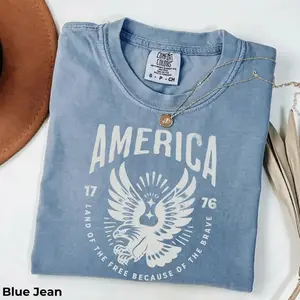 America 4th Of July 1776 Comfort Colors T-Shirt - For Men And Women, Fourth Of July Unisex Eagle T-shirt, USA
