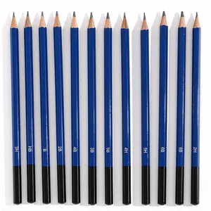 12-Piece Professional Sketch Pencil Set, Medium Hardness, Round Tip, Erasable, Suitable for Left & Right Handed Users, Ideal Gift for Artists, Art Drawing Supplies