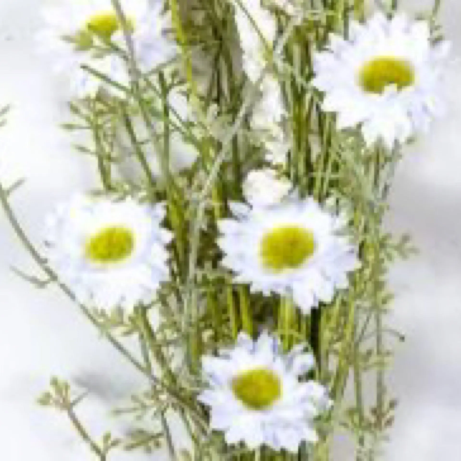 WILD FLOWER BOUQUET WITH PLASTIC GREENERY, 21 IN, HW, WHITE