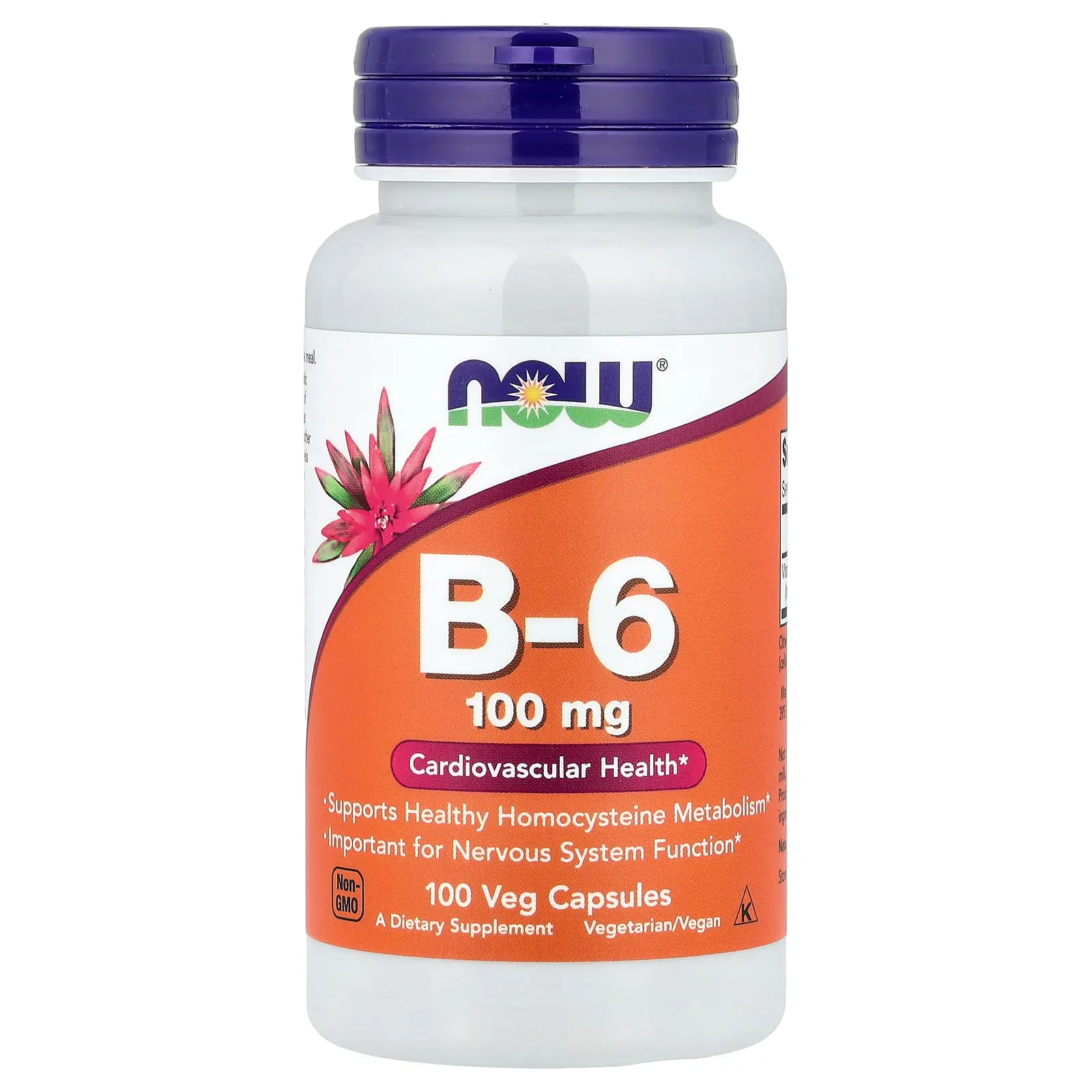 NOW Foods B-6, 100 mg, 100 Veg Capsules
