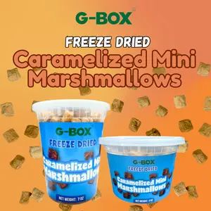 G-BOX Freeze Dried Caramelized Marshmallows Mini in Air Tight Container Sweet Snack