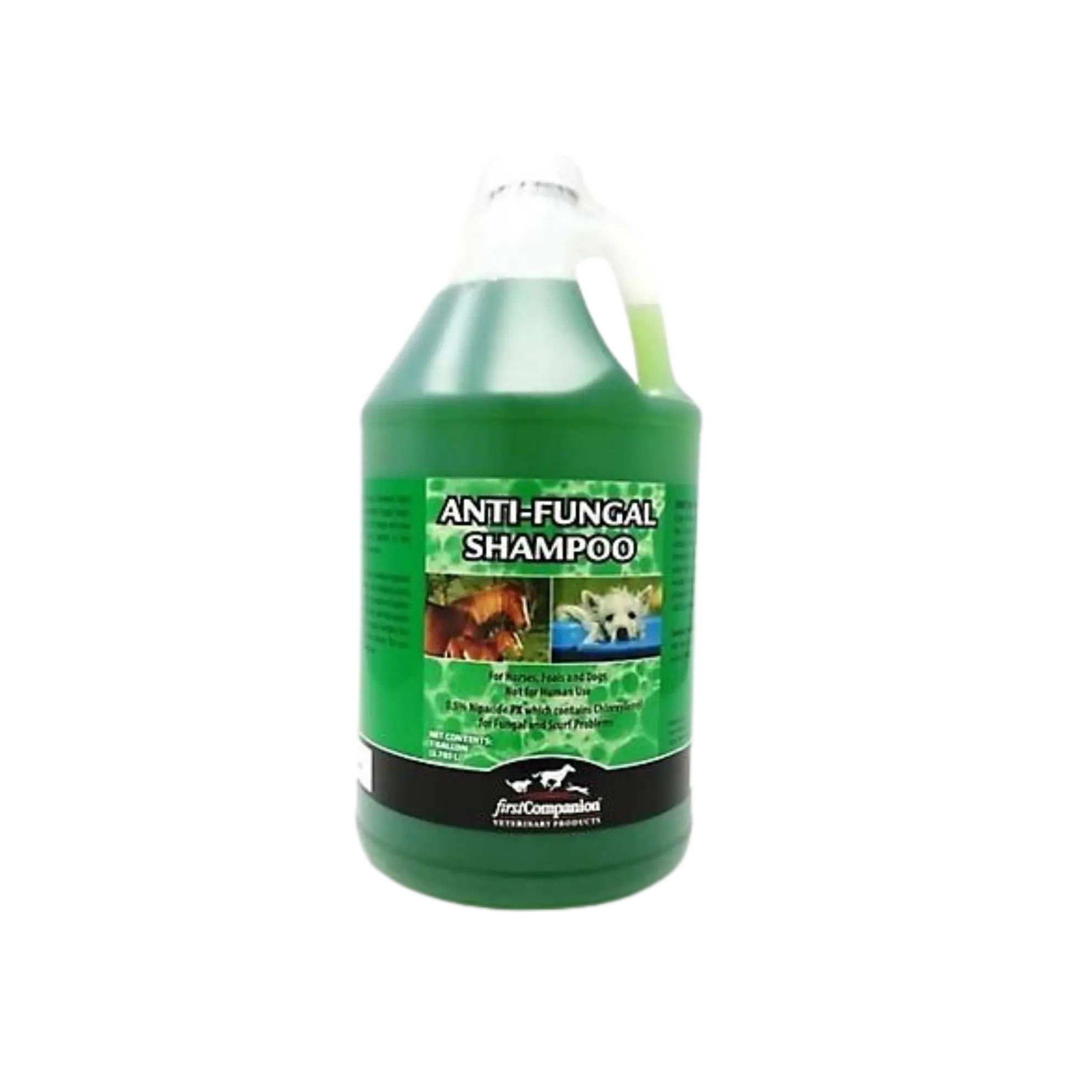 FIRST COMPANION ANTI-FUNGAL SHAMPOO