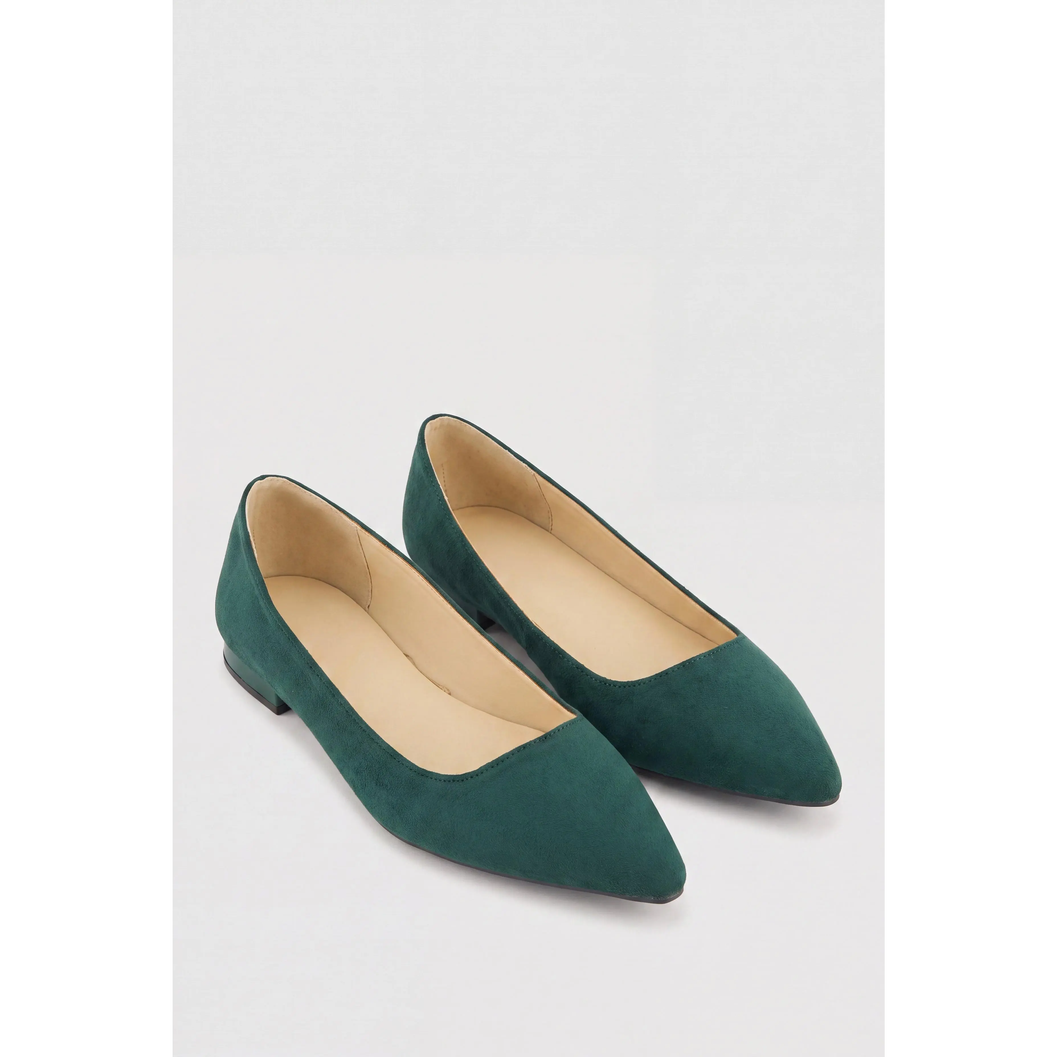 Pointed Toe Flats