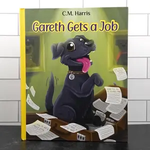 Gareth Gets A Job Hardcover Book