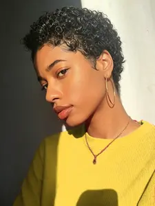Short Curly Pixie Cut Wig Human Hair Glueless Full Machine Made Stylish Afro Wig for Women