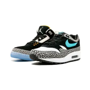 Air Jordan X Max Pack "Atmos Safari / Elephant Pack" 923098 900