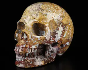 Huge 5.1" Bug Fossil Agate Carved Crystal Skull, Crystal Healing