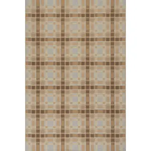 Mesael Modern Plaid Indoor Rug