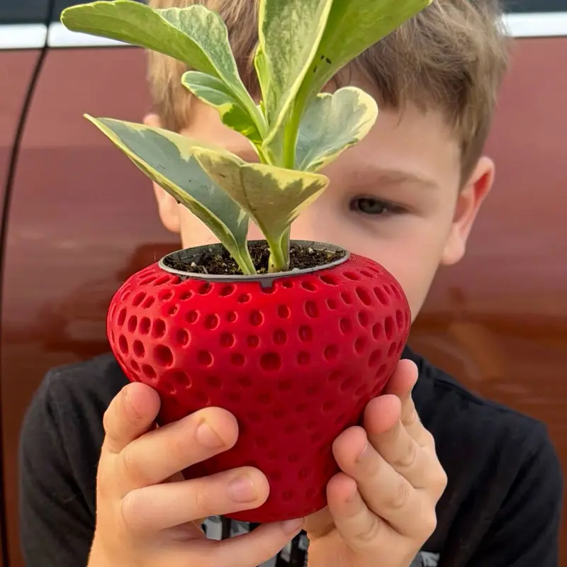 3D Printed Strawberry Flower Pot
