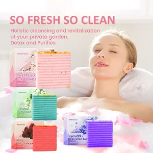 Gentle Private Soap Lactic Acid Bacteria Balanced Formula 100ml Moisturizing Non Sticky Cleanser for Women's Sensitive Areas Soothing Moisture