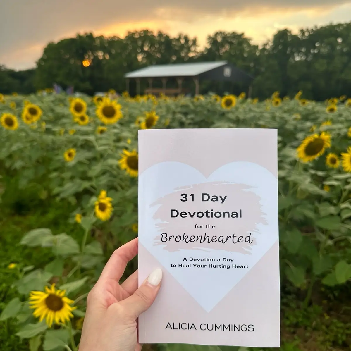 31 Day Devotional for the Brokenhearted: A Devotion a Day to Heal Your Hurting Heart