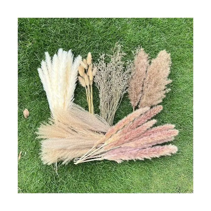 100Pcs Pampas Grass Boho Home Decor 17 inch Natural Dried Flowers-Pampas Grass Contains Bunny Tails White Pampas Brown Pampas.Boho Decor for Farmhouse Wedding Boho Wall Bathroom Office Kitchen