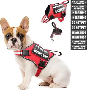 Service Dog Vest Harness and Leash Set+10 Patches,No Pull&Adjustable Reflective Dog Harness with Soft Padded Handle for Training/Everyday,Fit Small/Medium/Large/Extra-Large Dogs (Red S) MOOGROU
