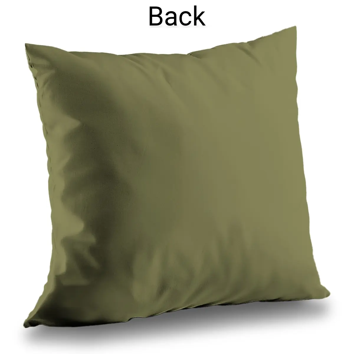 Begin Home Decor C1PT14144E09LO 14 x 14 in. Peacock Exotic Poly Twill Throw Pillow - Home Decor Accent