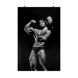 Arnold Schwarzenegger Rare Photo Magazine Gold Gym Mr Olympia Poster, Vintage Gym Bodybuilding Fitness Icon 2