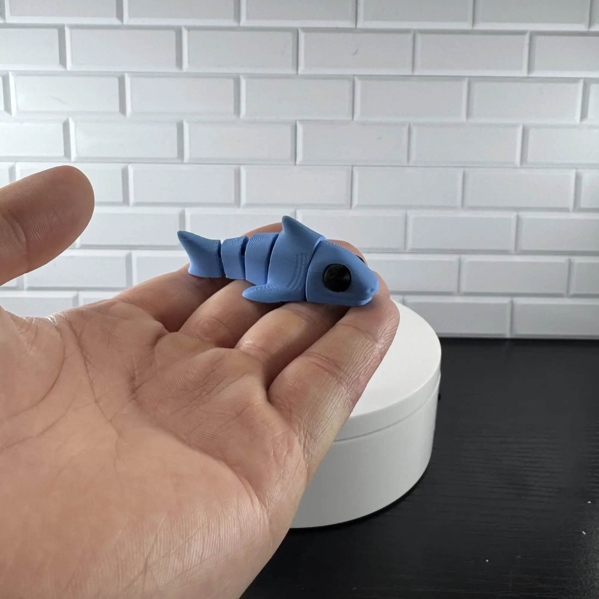 Shark Fidget Toy
