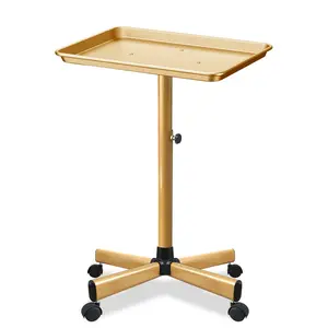 Salon Tray, Sturdy -Resistant Adjustable Tray is  for Salon Tray  Wheels, Salon Tool/Color Tray, Beauty  Tray,  Tray, Etc....()