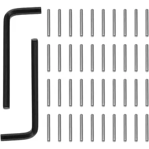 42 count Spring Hinge Tension Pin Replacement Kit Including 40 Stainless Steel Shelf Pins 2 Hex Wrenches Allen Wrenches  for Automatic Closing of Door Hinges  Garage Doors