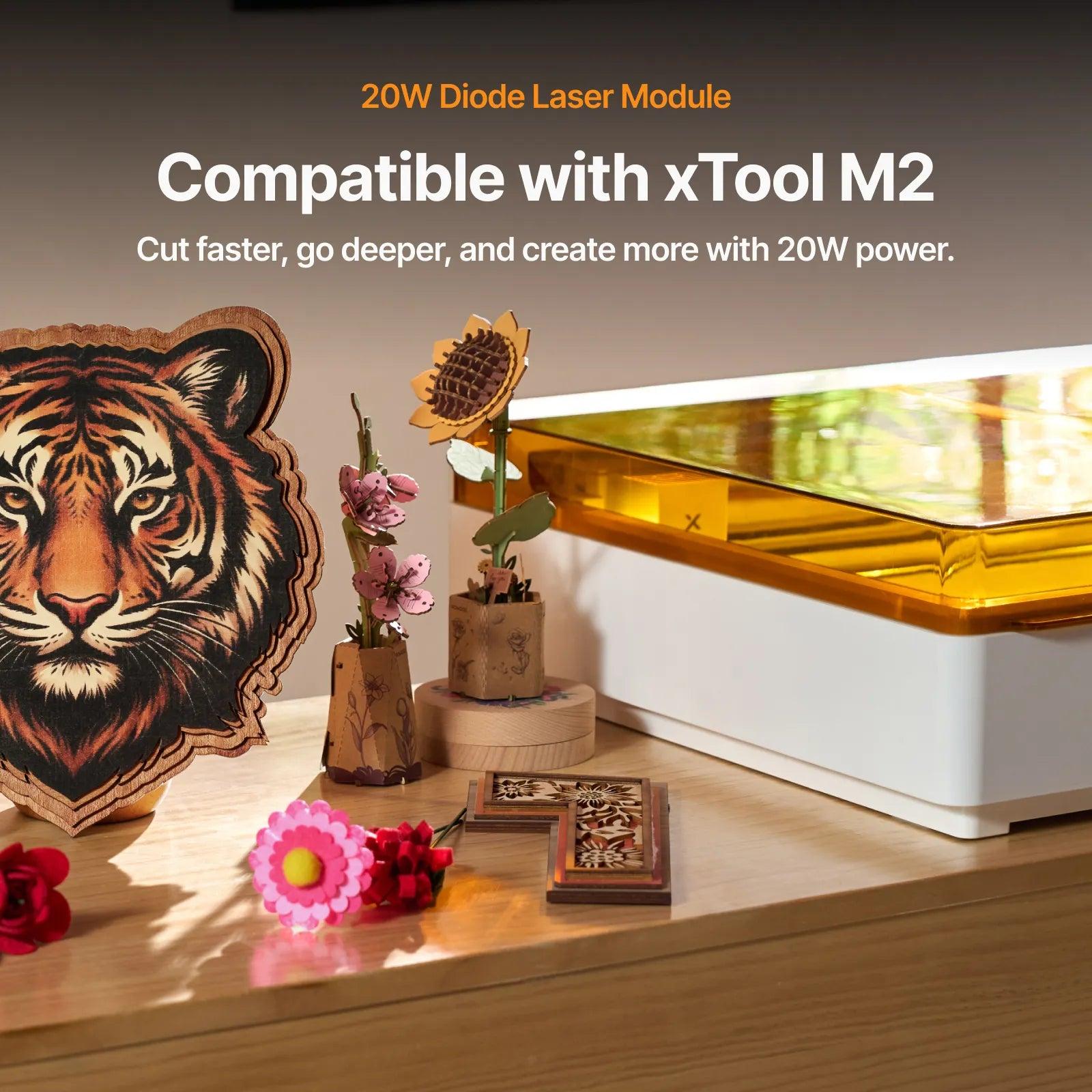 xTool M2 3W 1064nm Infrared Laser Module 20W 455nm Diode Laser Module