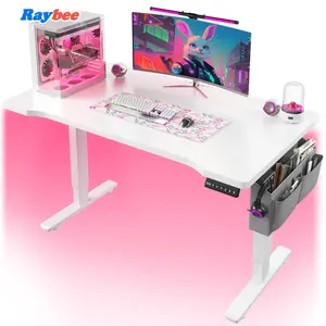 RaybeeFurniture Electric Standing Desk with LED, Height Adjustable Computer Desk with 3 Memory Preset, Gaming Furniture Sit Stand Desk with Storage Side Pocket and Cable Management, Home Office Desks Writing Workstation, Easy to Assemble