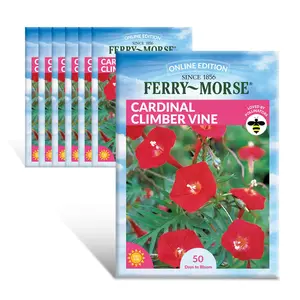 Ferry-Morse Online Edition Cardinal Climber Vine Seed Multipack - 7 Pack