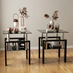Set of 2 Modern Square Glass End Tables, Tempered Glass & Metal Side Tables for Living Room & Bedroom
