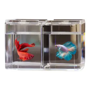 Acrylic Multi Compartment Double Tank Breeding Separation Fish Tank with Dividers Aquarium Table Style Small Fish Tank