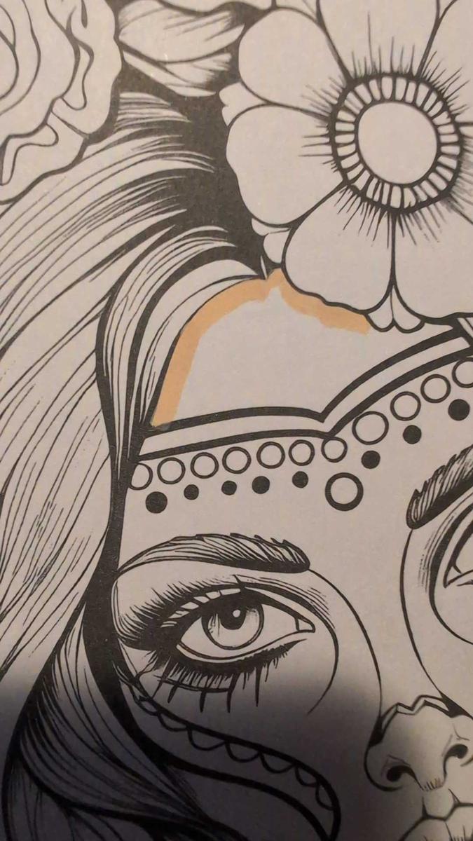 Item: Multicolor, 36 Colors