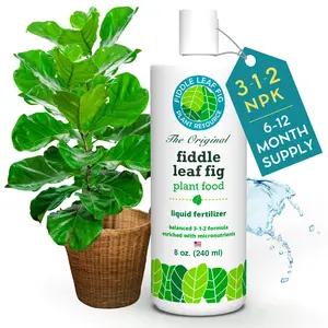 Fiddle Leaf Fig Tree Plant Food for Ficus Lyrata & Ficus Audrey - Enriched with Calcium, Urea-Free, Promotes Robust Roots, Stems & Leaves (8 Ounces)