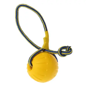 Pet Dog Fun Toy Chew Sphere with Rope for Puppies
