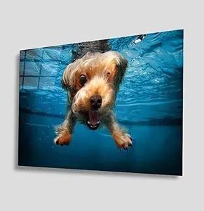 GCKG Cute Dog In The Pool Tempered Glass Wall Art Perfect Modern Decor Fabulous New Year Gift Glass ink Printing