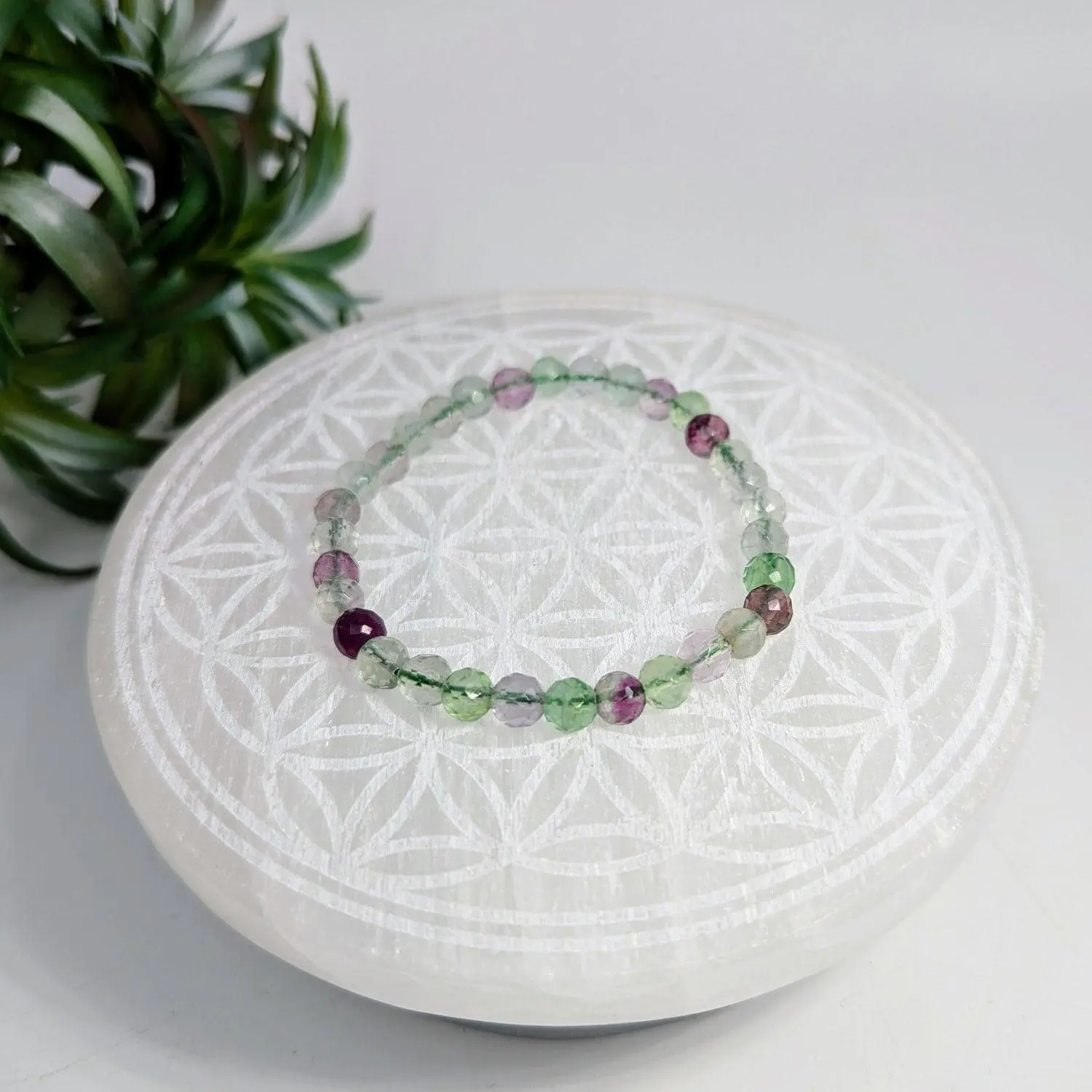 Fluorite Faceted Bracelet 6mm Beads 7 Inch Length