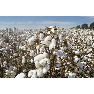 Cotton Seeds For Planting 30Pcs - Flower Seeds For Planting Outdoors Perennials