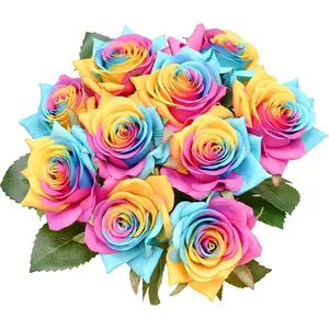10pcs Rainbow Fake Flowers Artificial Silk Rose15 for Valentine’s Day Mother's Day Easter Home Decoration Bridal Wedding Bouquet Parties Spring