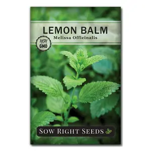 Lemon Balm Seeds