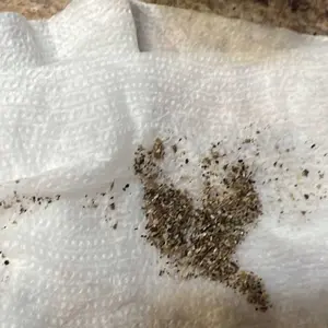 Product Review of Sediment Buster - Water Heater Tool UL Verified V699054 – Flushes, Cleans, Drains, Breaks Up Sediment Clogs from Electric or Gas Water Heaters – Easy to Use from 🐅**🐅