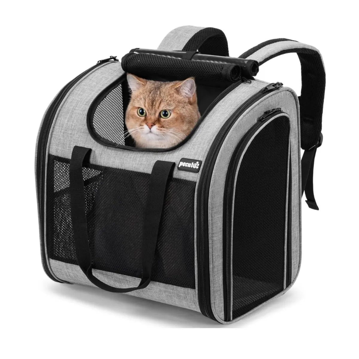 Expandable Pet Carrier Backpack for Dogs, Large‑Capacity Breathable Pet Travel Backpack with Ergonomic Back Panel