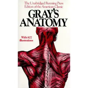 USED-Gray's Anatomy by Gray, Henry (Paperback)