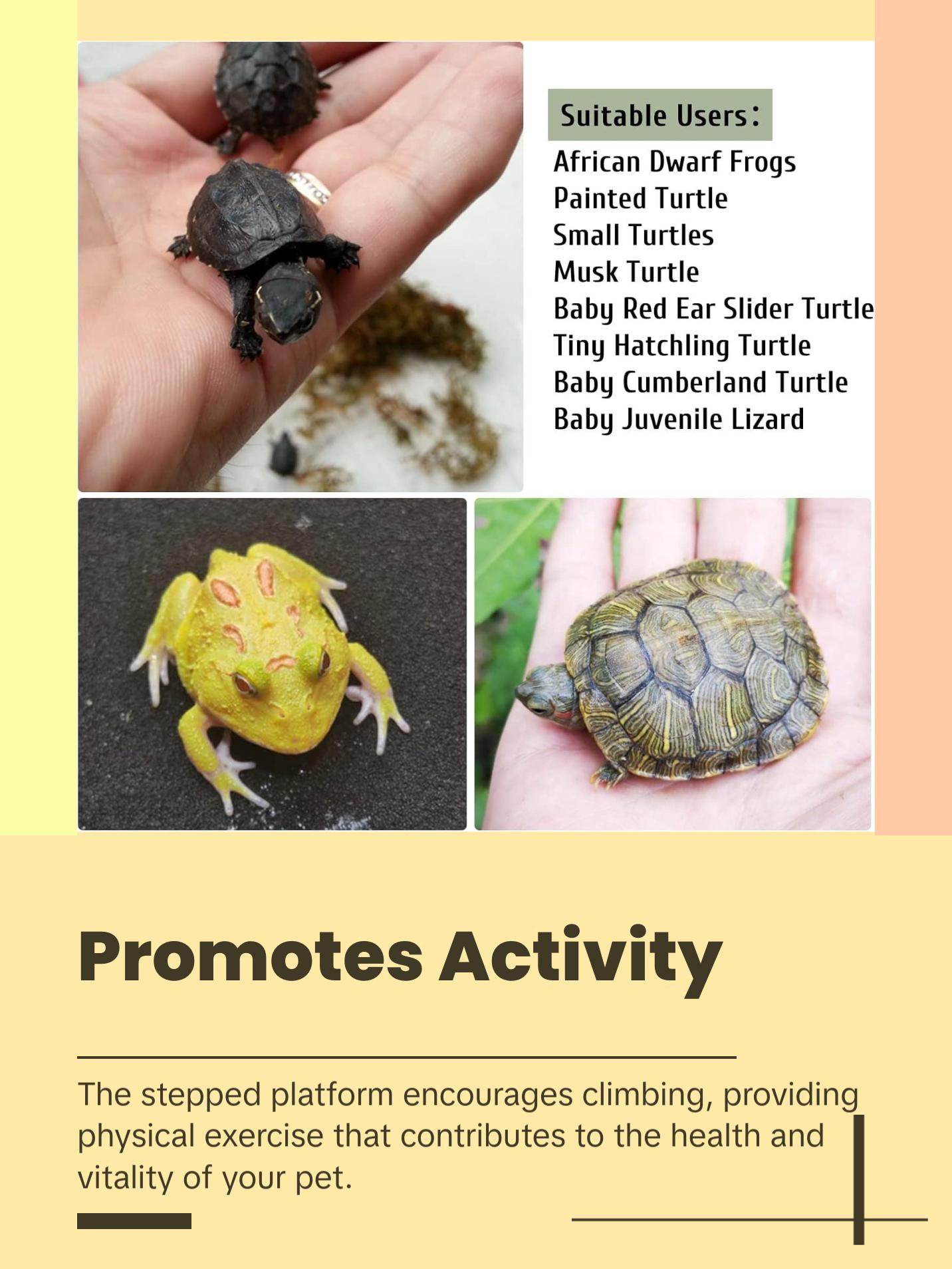 Turtle Basking Platform Reptile Climbing Shale Resin Step Ledge Stone Aquarium Ornament Rock Landscaping Decoration with Suction Cups for Frogs Newts Amphibians Lizard (Medium:8.2”Lx3.3”Wx3.1”H)