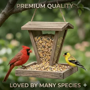 All-Natural Premium Wild Bird Main Grain Mix | High Energy Nutritious Feed for Northern Cardinals, Finches & All Small Wild Songbirds, Balanced Vitamin Rich Seed Blend, No Additives Backyard Feeding Bird Food for Outdoor Bird Feeders