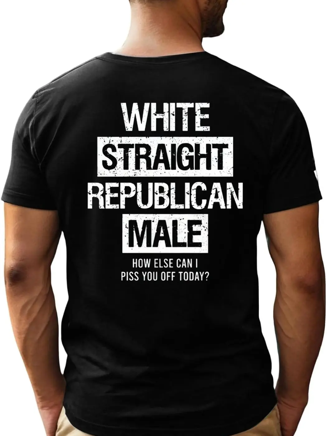Men's 2026 White Short-Sleeve Round Neck Print T-Shirt - Funny Conservative Republican Graphic Top, Casual Political Gift for Him, Tshirt, Shortsleeve, Breathable, Menswear