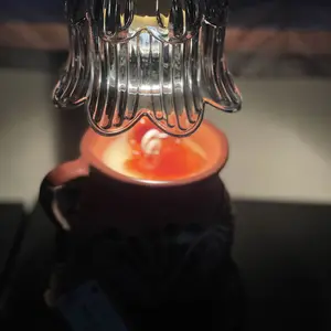 review image 2