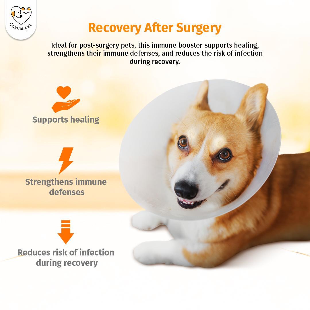 Cassiel Pet Immune Booster for Dogs & Cats - Natural Nutritional Syrup, Supports Daily Wellness, Energy & Vitality, Plant-Based Formula, 60ml