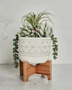 Handcrafted Plant Holder