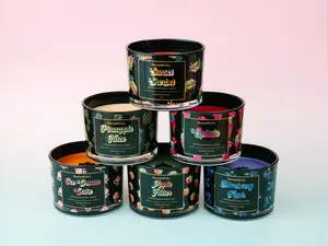 HoneyWicks  CANDLE SELECTION HOUSE CANDLES Featuring Sunset Shower Pineapple Julius Apple Juice & Blueberry Rush for Home Fragrance Relaxation Aromatherapy