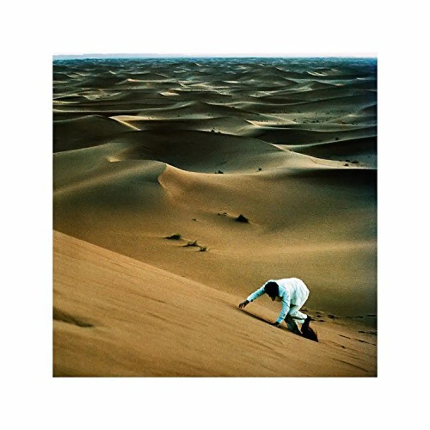Baxter Dury - Prince Of Tears  [VINYL RECORD - LP]