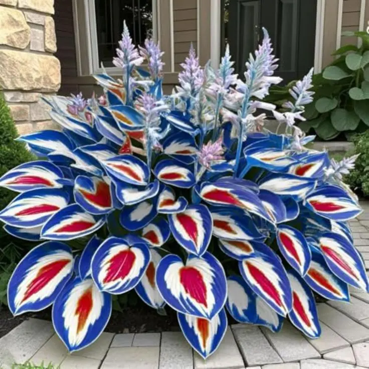 1000 PCS Hosta Seeds Perennial Shade Plant Easy to Grow