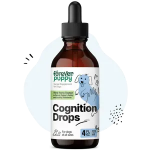 Cognition Drops for Dogs - Liquid Ginkgo Biloba & Lion's Mane Mushroom Supplement for Dogs' Brain Health Support - Cognitive Drops w/Ashwagandha Root for Brain Focus & Clarity - 4 oz