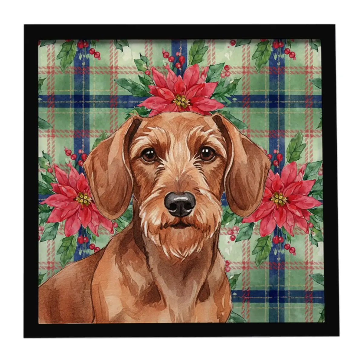 Carolines Treasures WDK8602MFP88 8x8 in. Artistic Wirehaired Red Dachshund & Christmas Poinsettia Framed Aluminium Wall Artwork, Metal Print with Hanger, Ideal Home Decor Gift for Room, Kitchen