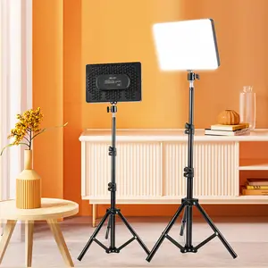 10-Inch LED Fill Light with Color Changing, USB-Powered & Adjustable Tripod (Up to 51"), Push Button Control, Warm/Cool Lighting for Photography, Live Streaming, Home Decor Lamp small business necessities portable